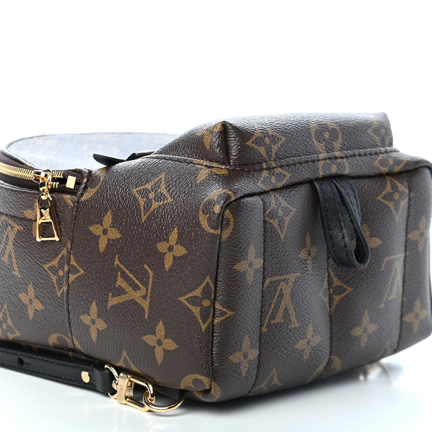 Monogram Palm Springs Backpack Mini
