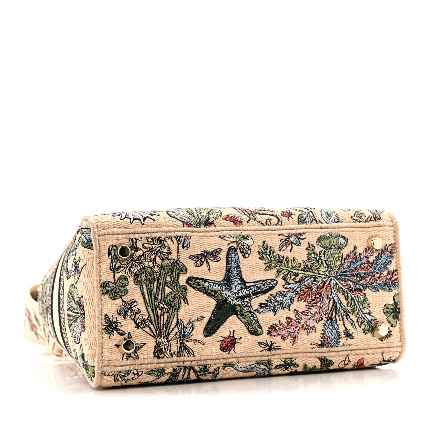 Christian Dior Canvas Cabinet De Curiosites Embroidered Medium Lady D-Lite Beige Multicolor 4 of 14