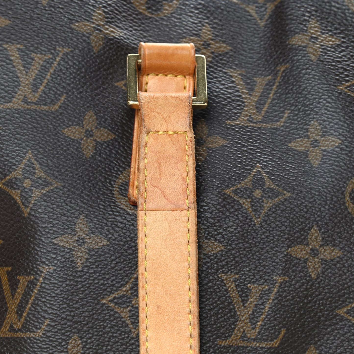 Monogram Cabas Mezzo