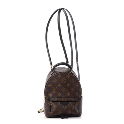 Louis Vuitton Monogram Palm Springs Backpack Mini 1 of 10