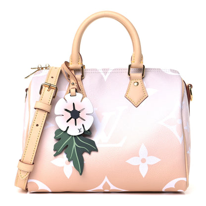 Louis Vuitton Monogram Giant By The Pool Speedy Bandouliere 25 Brume 1 of 5