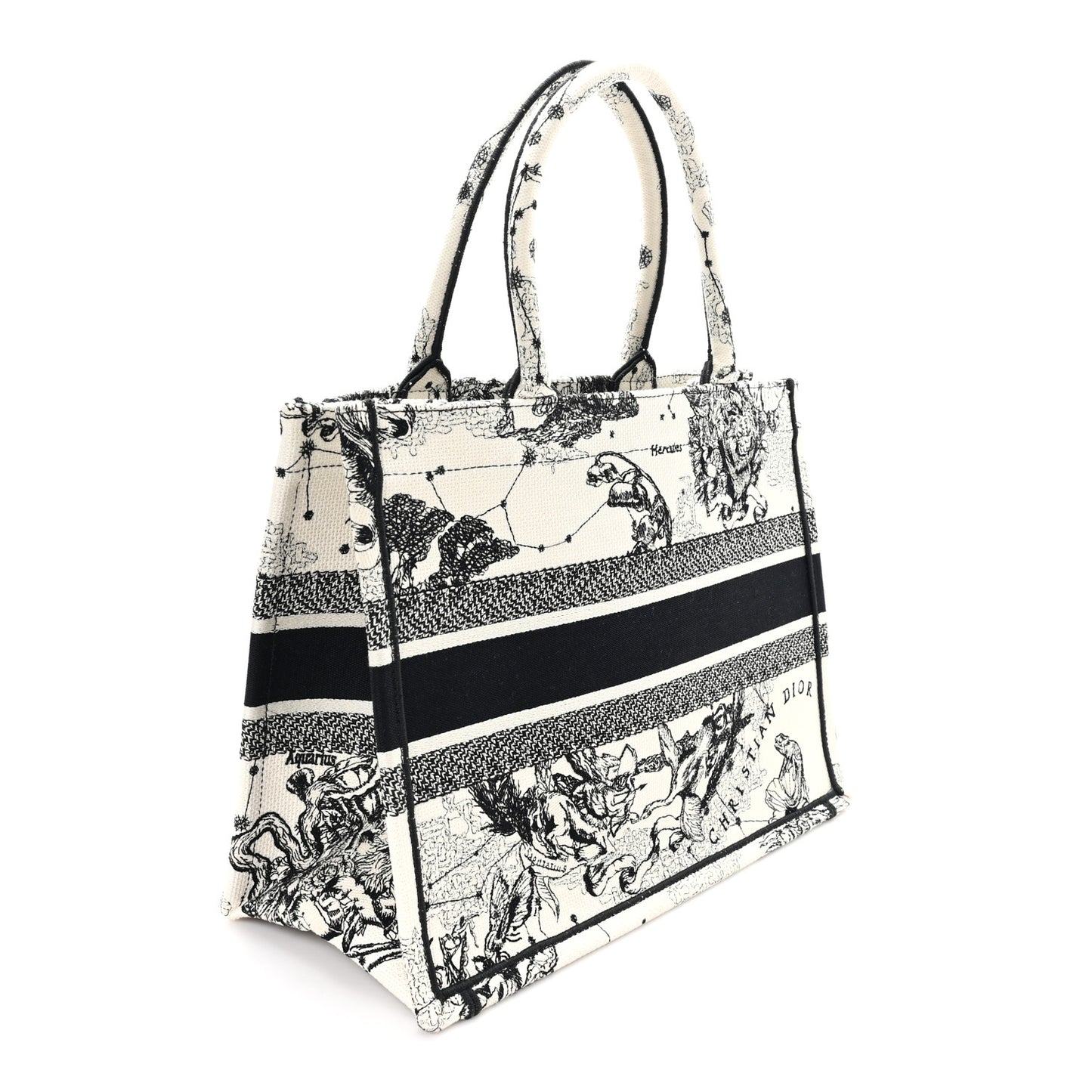 Canvas Zodiac Toile De Jouy Embroidered Medium Book Tote Latte