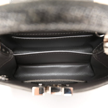 Louis Vuitton Lizard Mini Capucines Argento 5 of 10