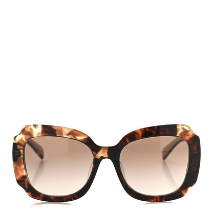 Prada Acetate Square Sunglasses SPR 16Y-F Havana Beige 2 of 6