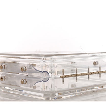 Chanel Transluscent Plexiglass Perfume Bottle Clutch 8 of 10