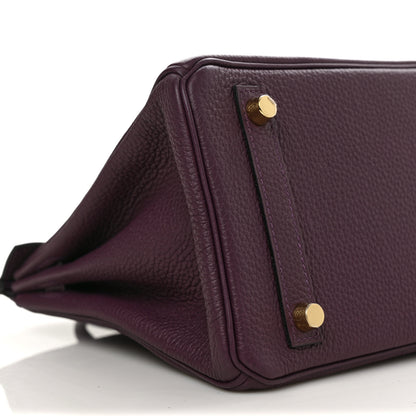 Hermes Togo Birkin 25 Cassis 7 of 8