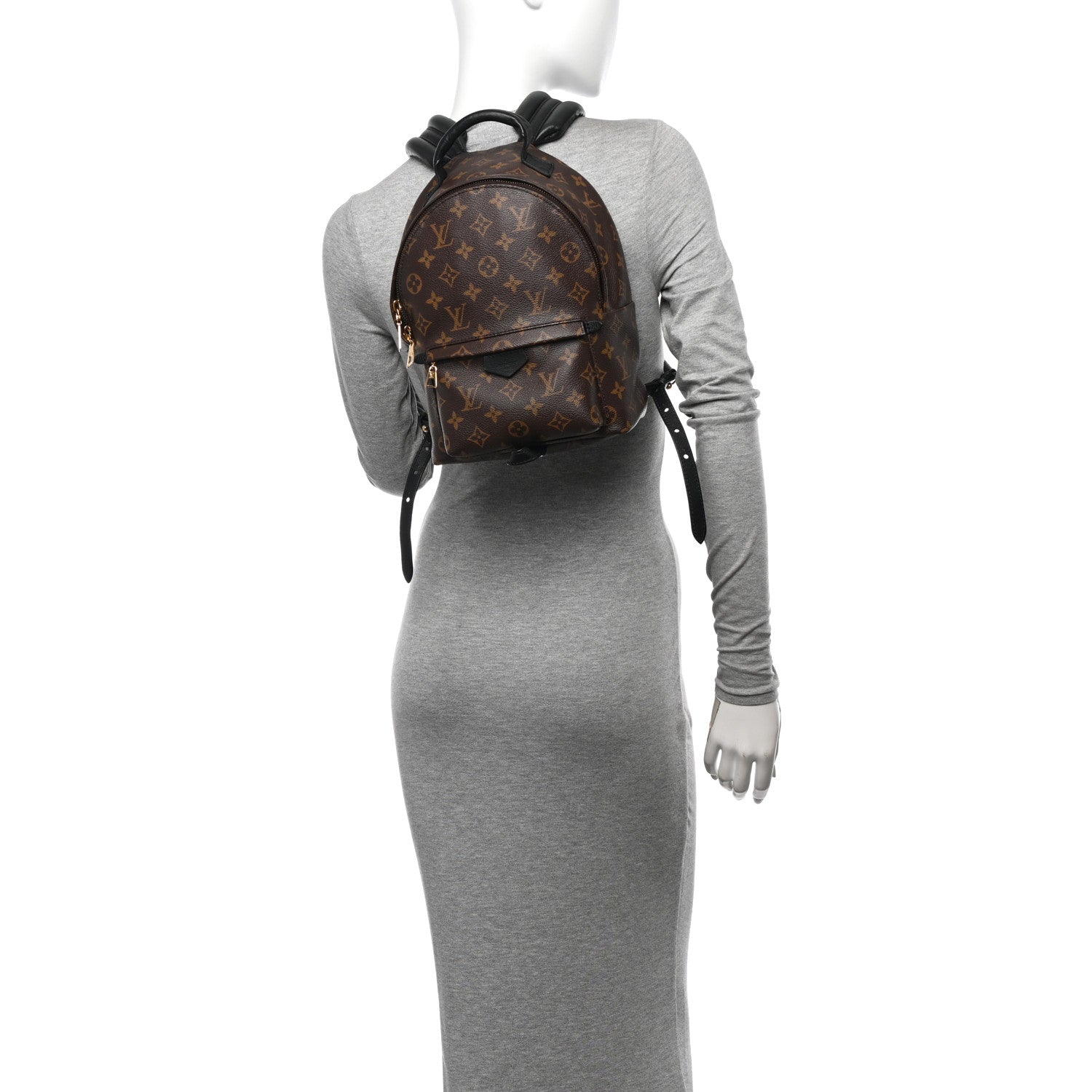Louis Vuitton Monogram Palm Springs Backpack PM 2 of 13