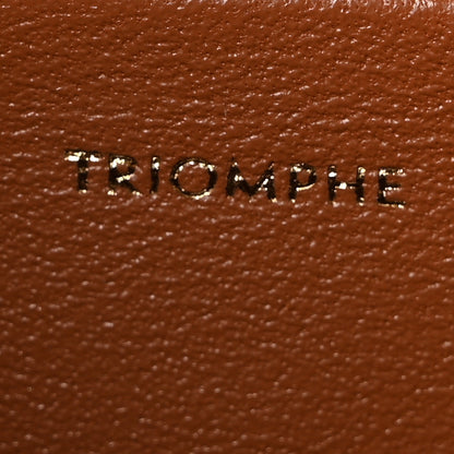 Celine Triomphe Canvas Calfskin Medium Triomphe Bag Tan 7 of 10