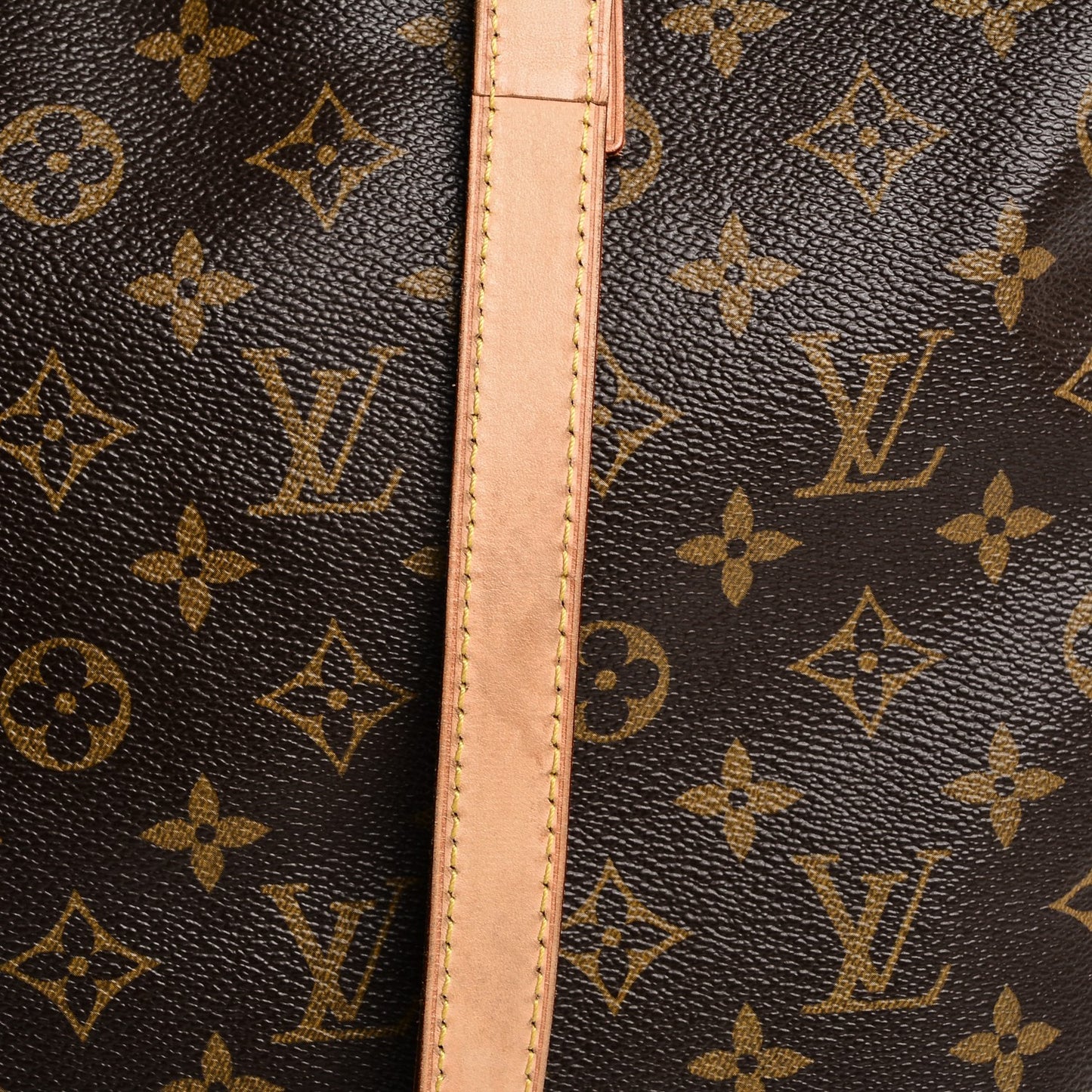 Monogram Cabas Mezzo