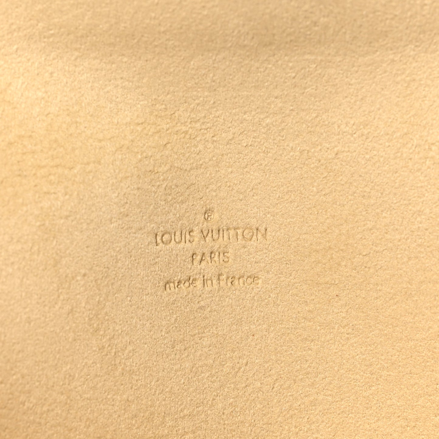 Monogram Pochette Florentine XS