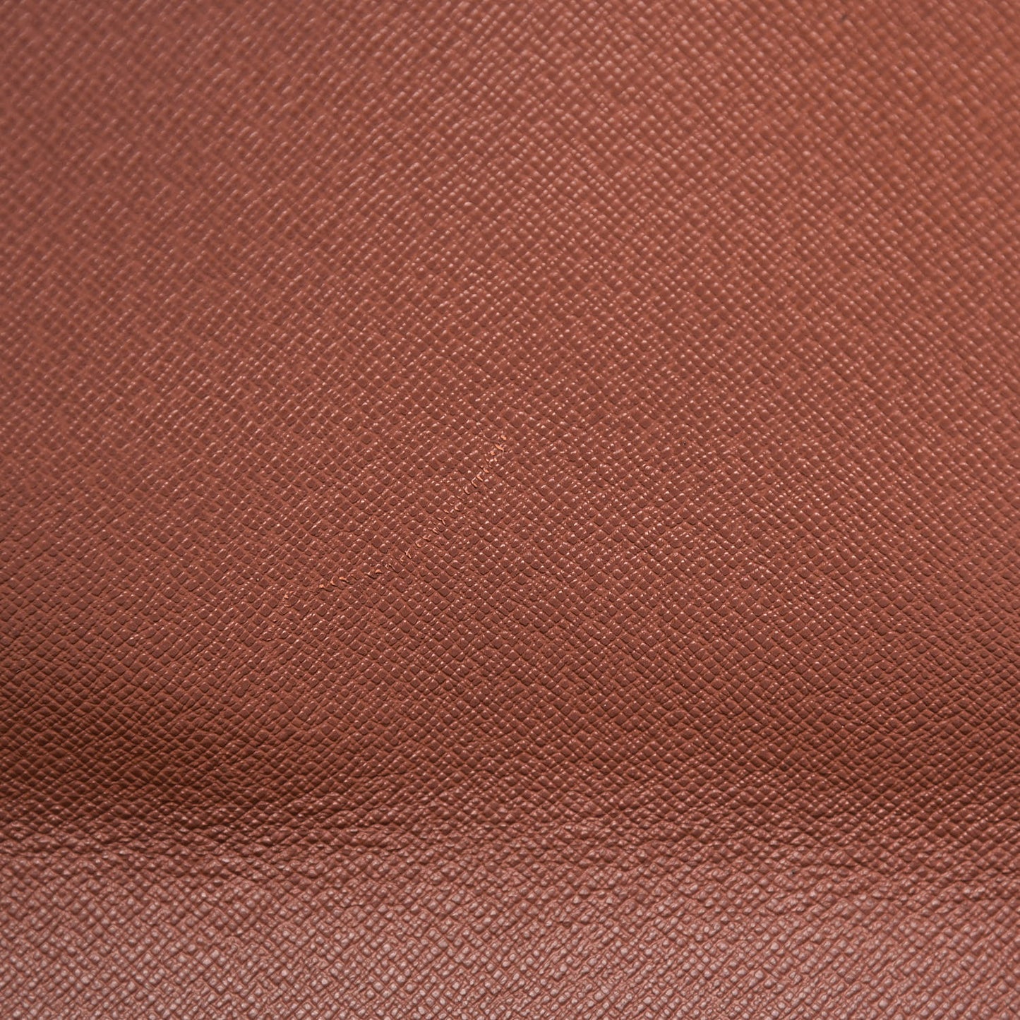 Monogram Musette Tango