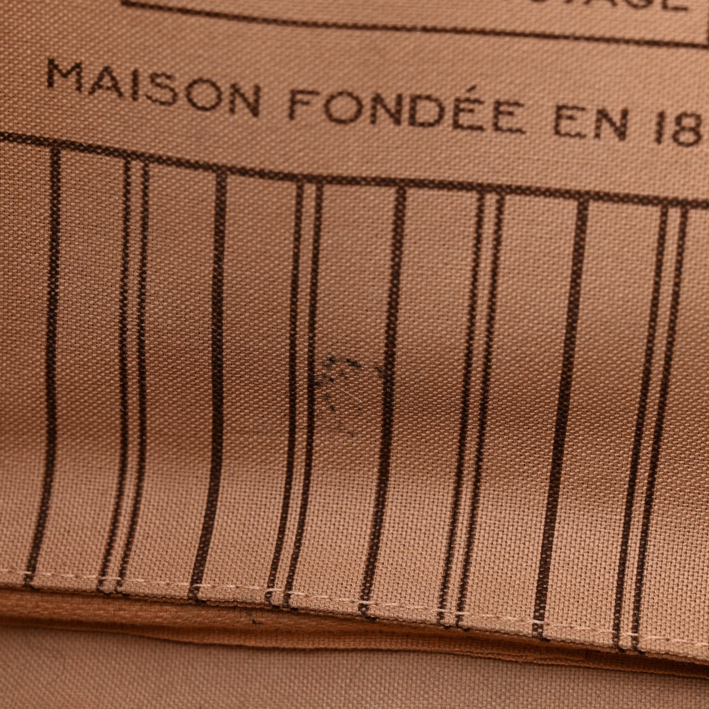 Monogram Neo Neverfull MM