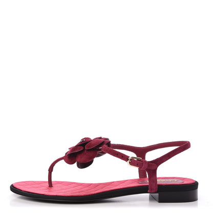 Chanel Suede Calfskin Camellia Thong Sandals 41 Dark Pink 1 of 8