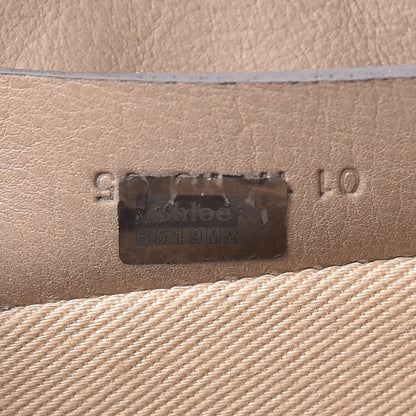 Chloe Suede Calfskin Mini Faye Backpack Motty Grey 8 of 25