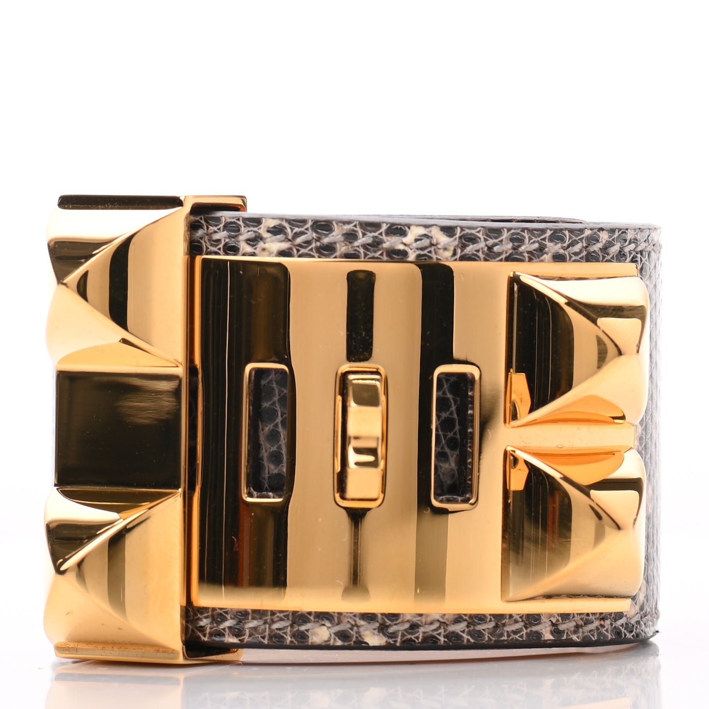 Lizard Collier De Chien CDC Bracelet S Ombre