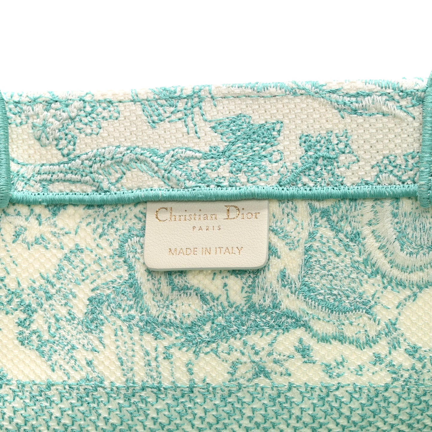 Canvas Embroidered Medium Dioriviera Toile De Jouy Book Tote Aquamarina
