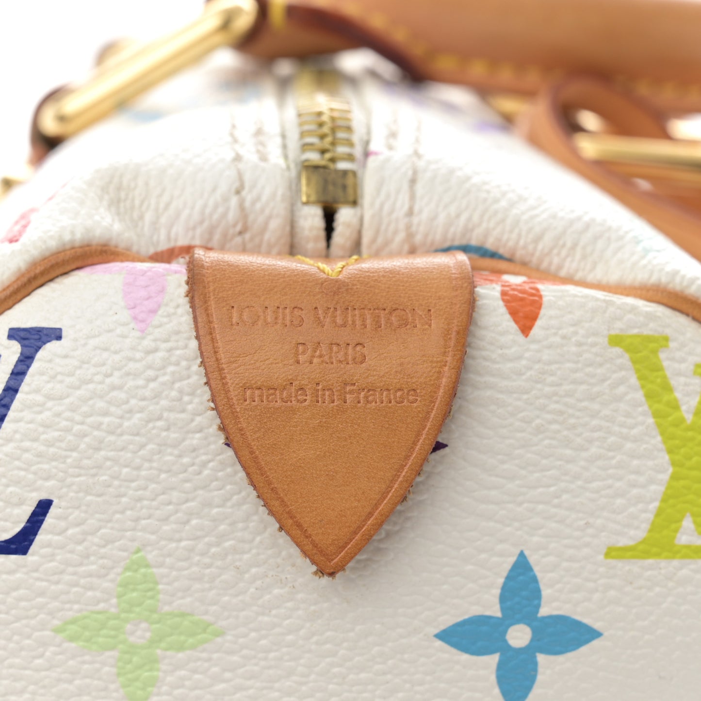 Monogram Multicolor Speedy 30 White