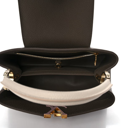 Louis Vuitton Taurillon Capucines MM Smokey Brown Green Creme Pink 4 of 8