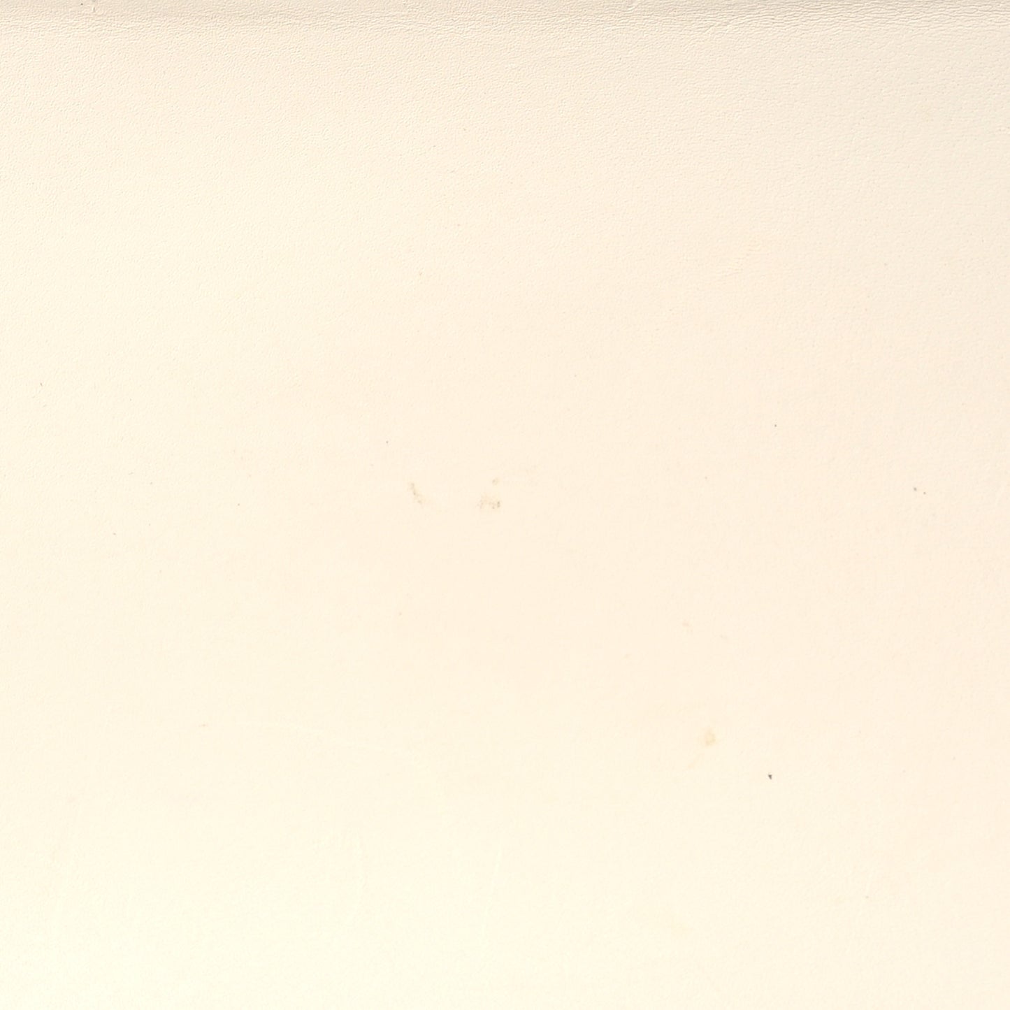 Calfskin Floral Medium Sylvie Top Handle Bag Off White