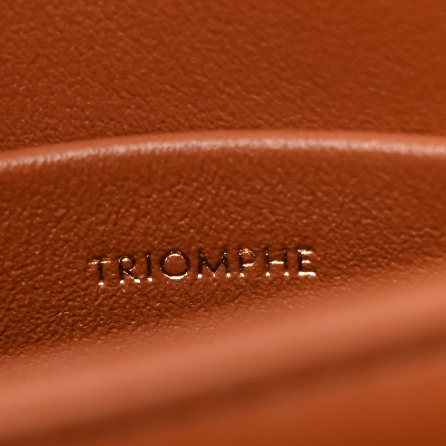 Calfskin Triomphe Canvas Teen Triomphe Bag Tan