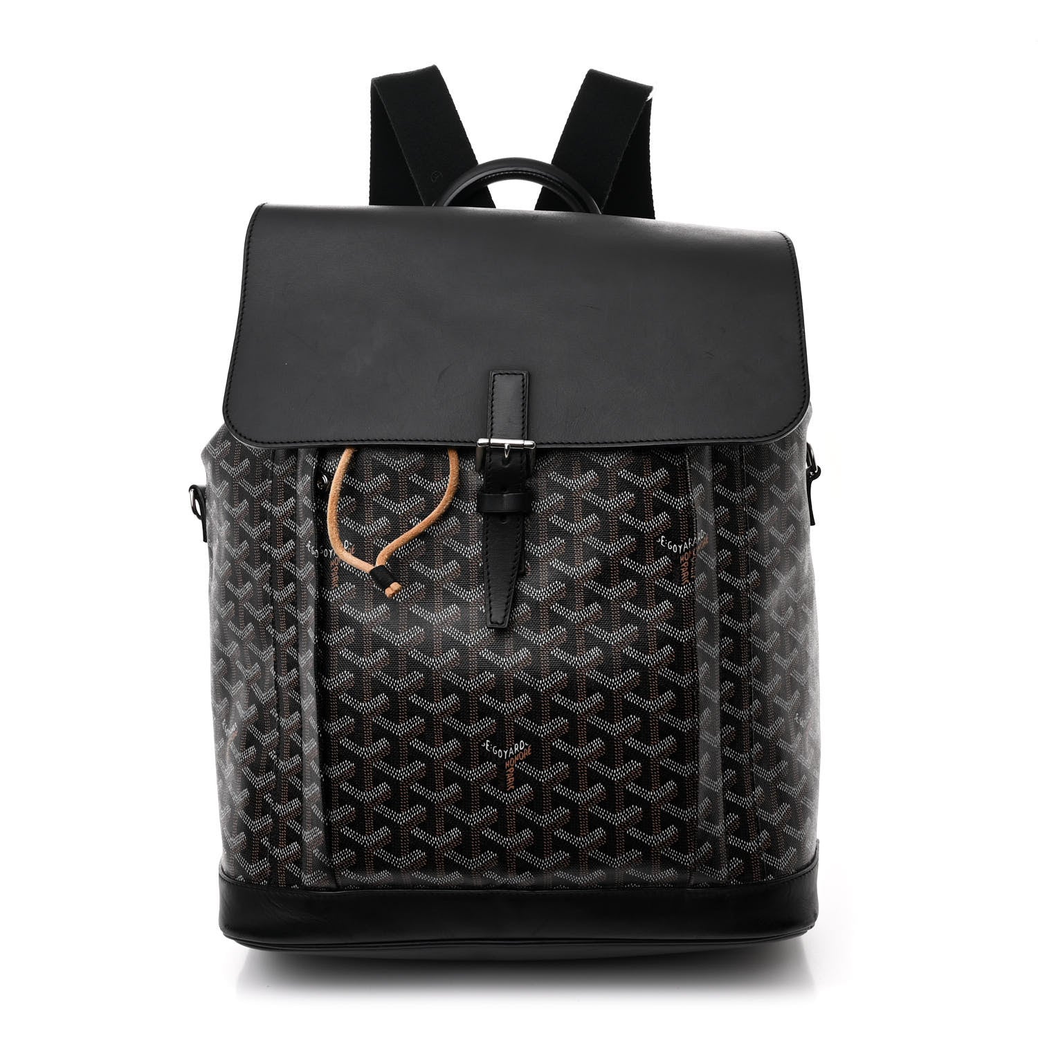 Goyard Goyardine Calfskin Alpin MM Backpack Black 1 of 11