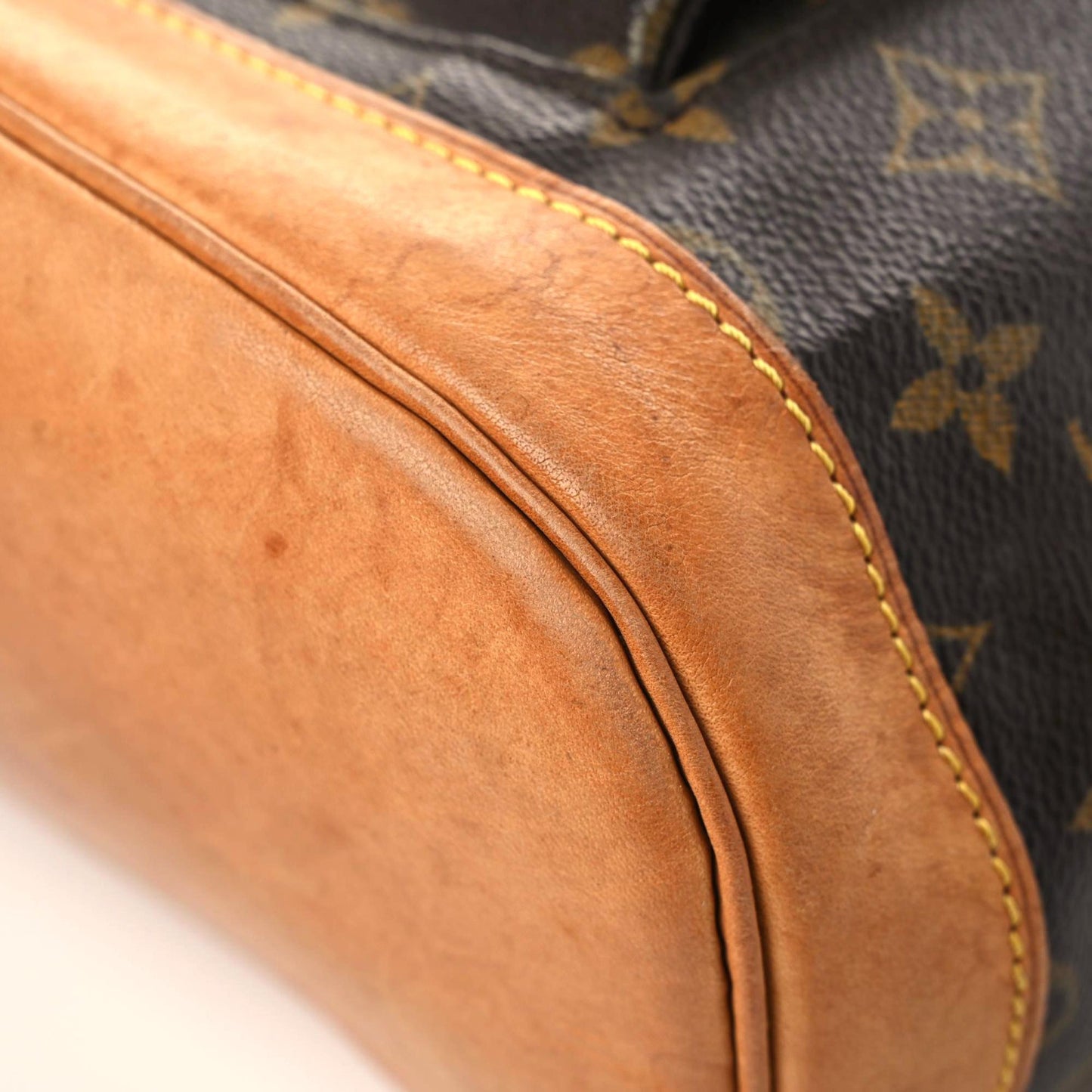 Monogram Montsouris GM Backpack