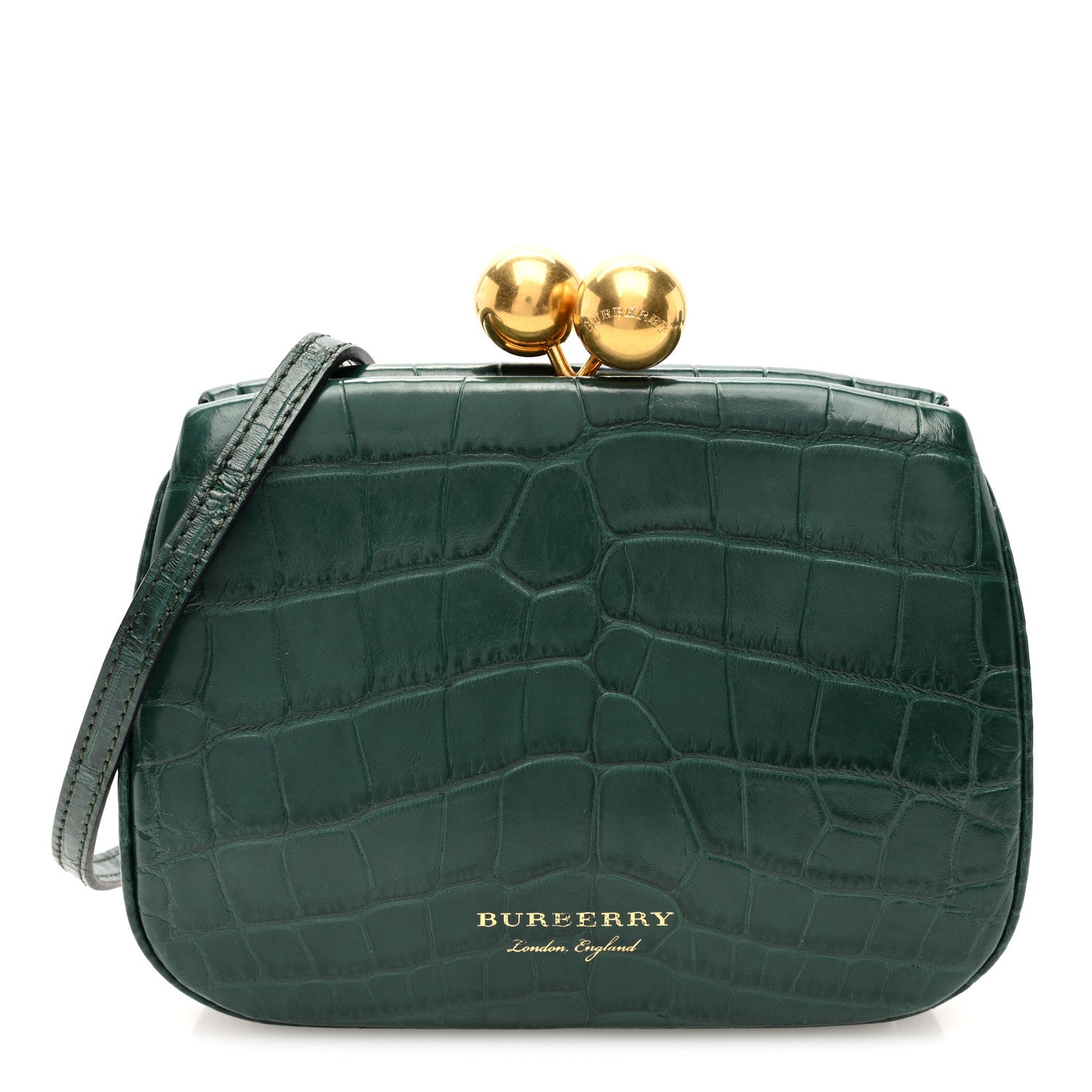 Burberry Alligator Small Frame Bag Dark Green 1 of 9