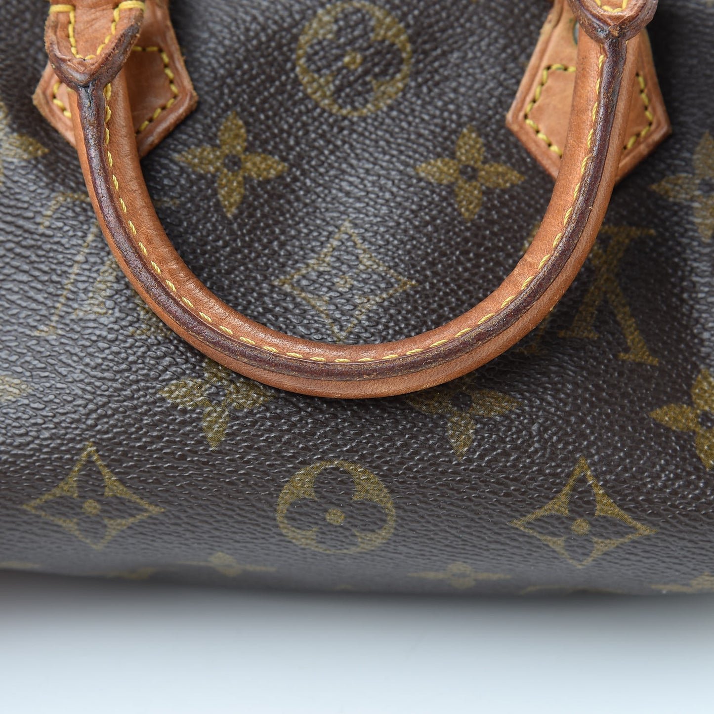 Monogram Mini Sac HL Speedy