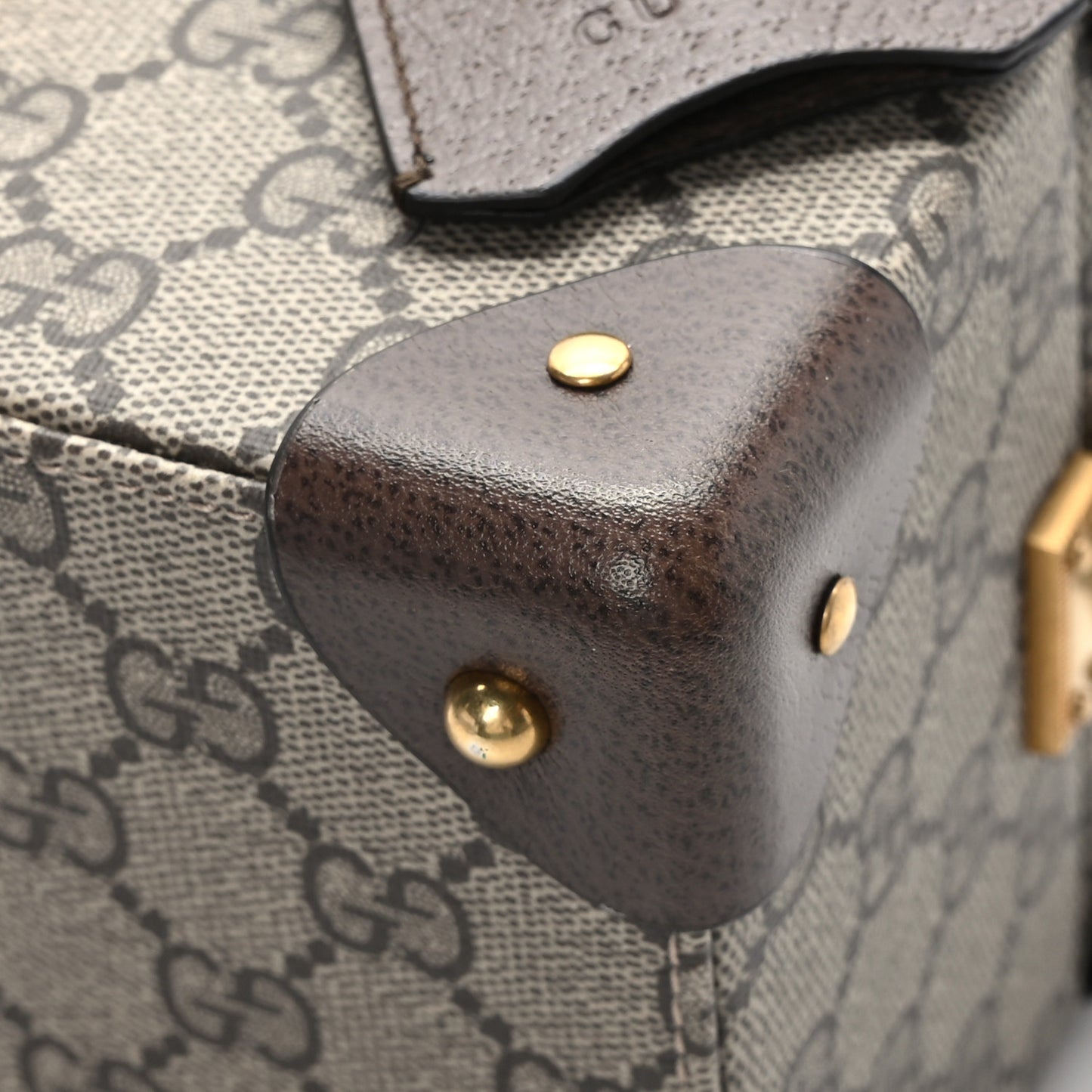 GG Supreme Monogram Textured Dollar Calfskin Web Savoy Jewelry Case Beige Ebony New Acero