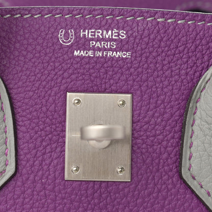 Hermes Togo Horseshoe Birkin 25 Anemone Gris Mouette 6 of 11