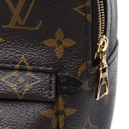 Louis Vuitton Monogram Palm Springs Backpack Mini 12 of 16