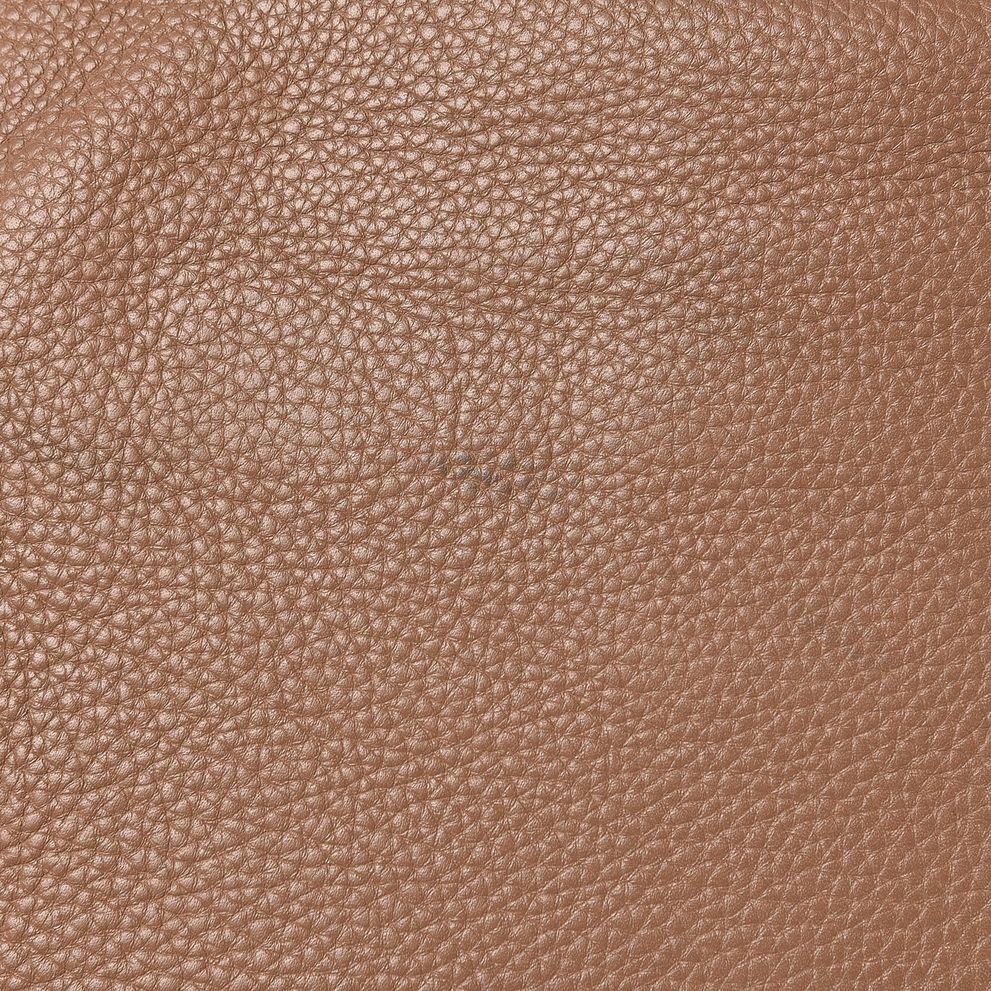 Calfskin Medium Marcie Hobo Nut