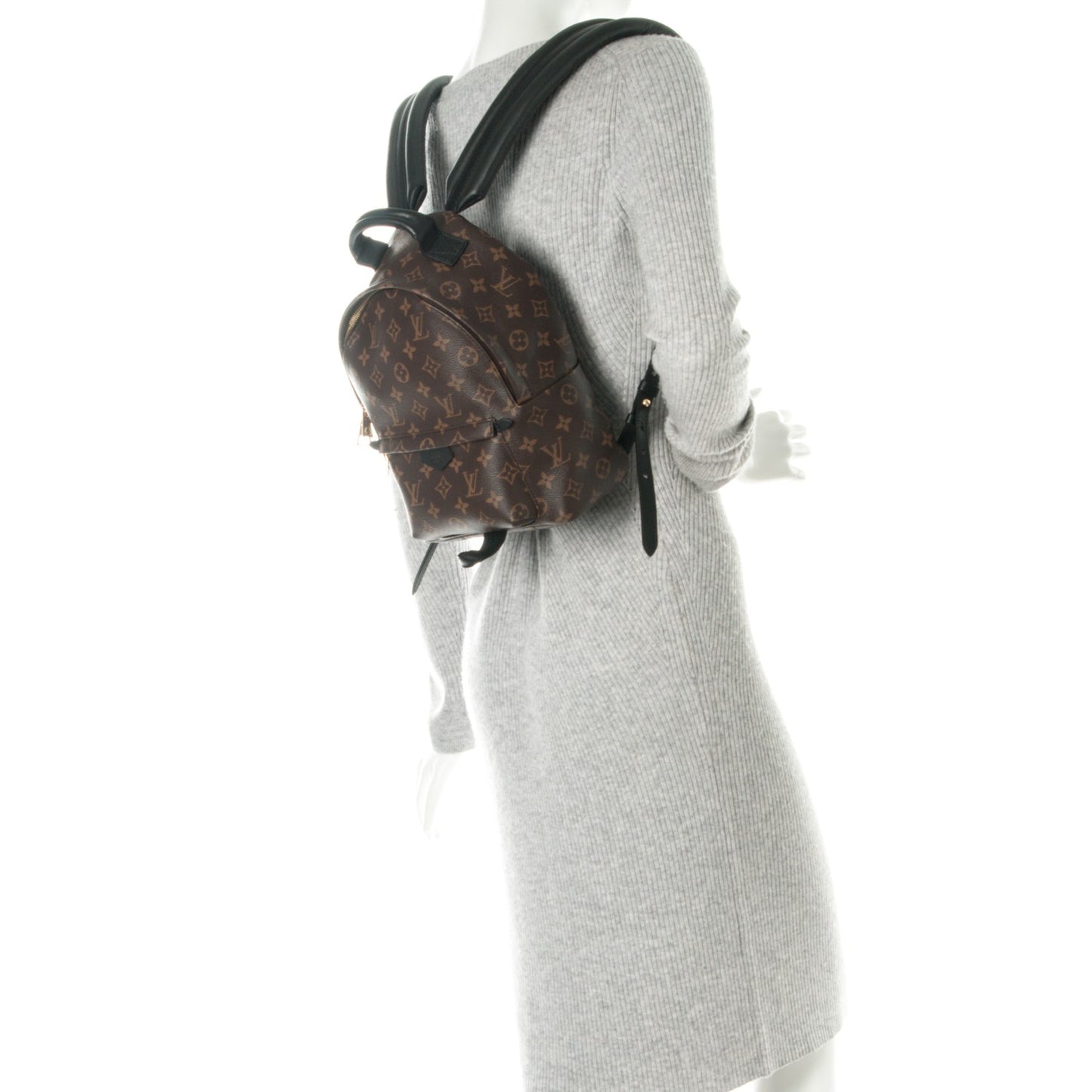 Monogram Palm Springs Backpack PM