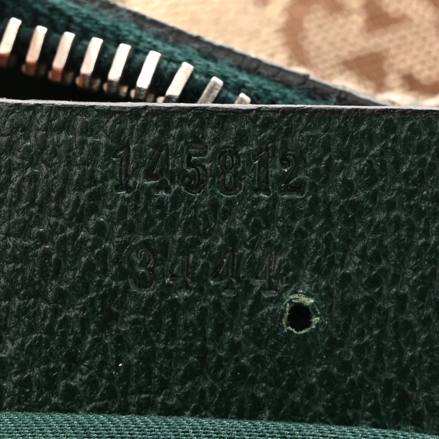 Monogram Medium Pop Hobo Green