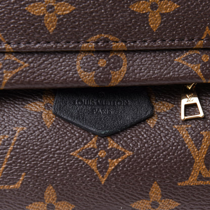 Louis Vuitton Monogram Palm Springs Backpack Mini 9 of 12