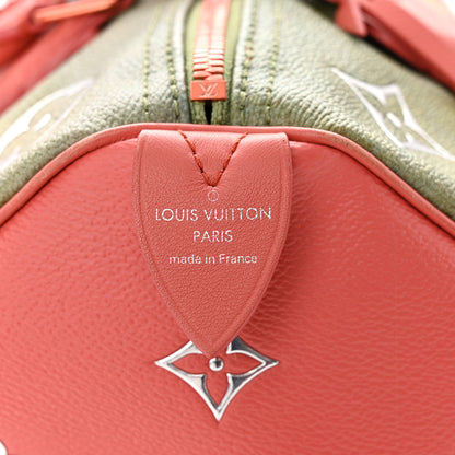 Louis Vuitton Masters Da Vinci Speedy 30 6 of 13
