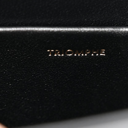 Celine Shiny Calfskin Triomphe Chain Box Bag Black 6 of 11