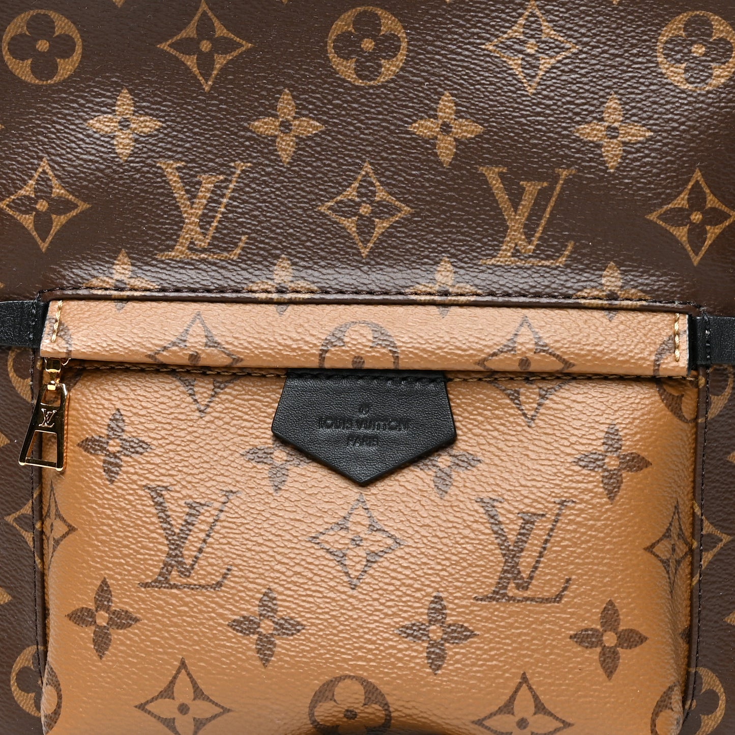 Reverse Monogram Palm Springs Backpack PM