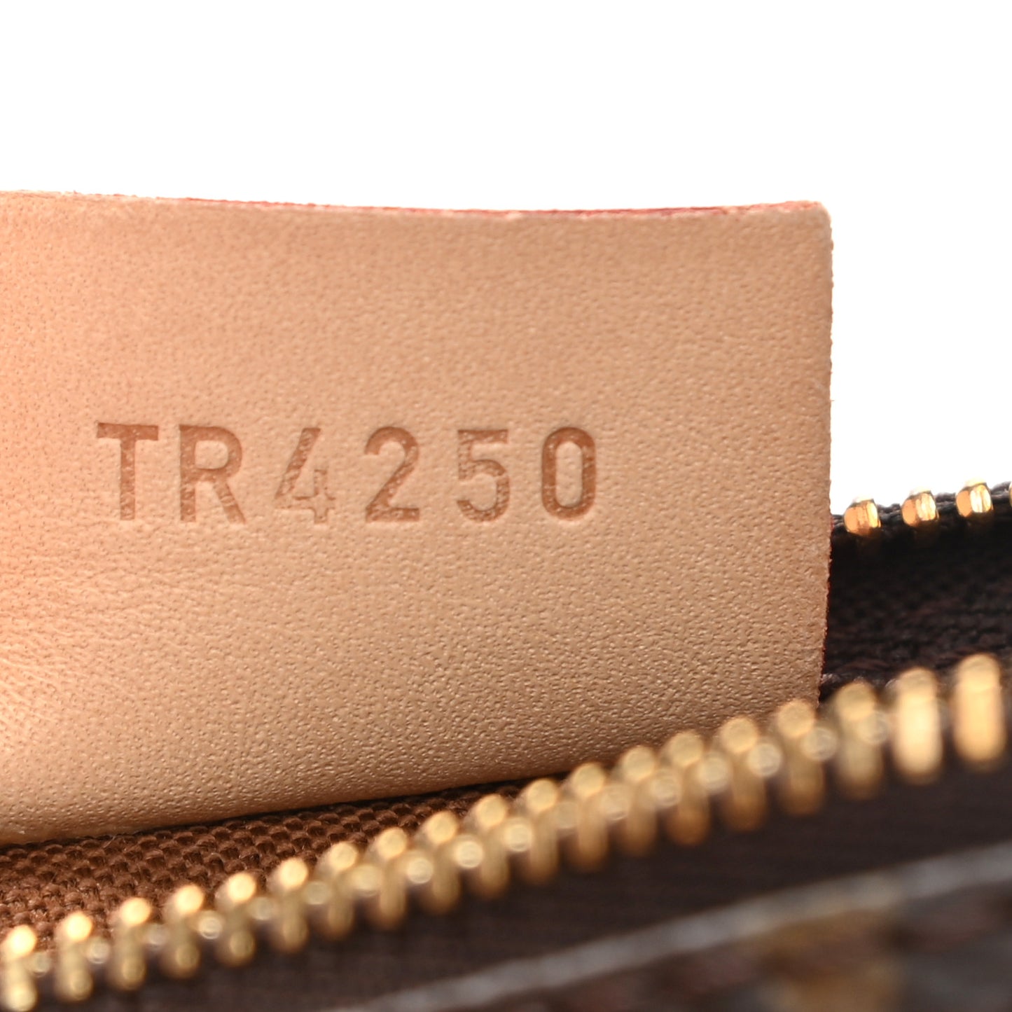 Monogram Nano Speedy