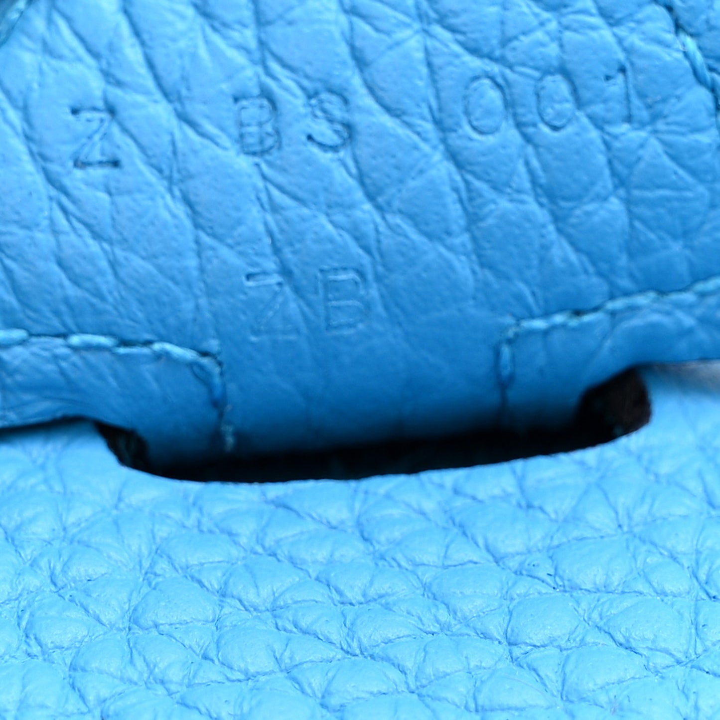 Taurillon Clemence EVELYNE III PM Bleu Frida