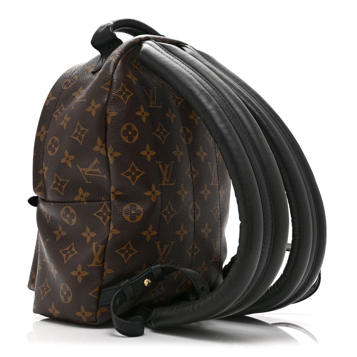 Monogram Palm Springs Backpack PM