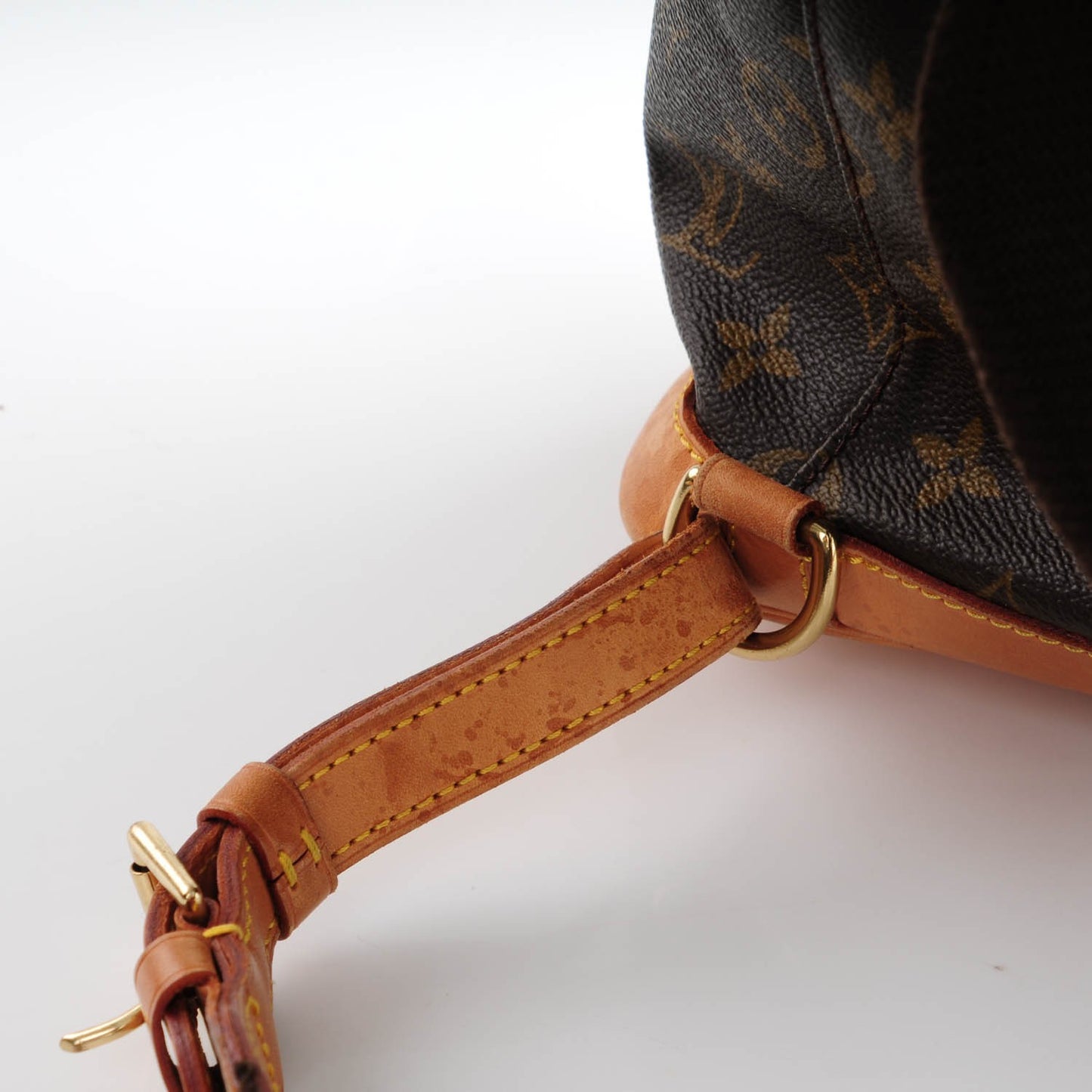 Monogram Montsouris GM Backpack