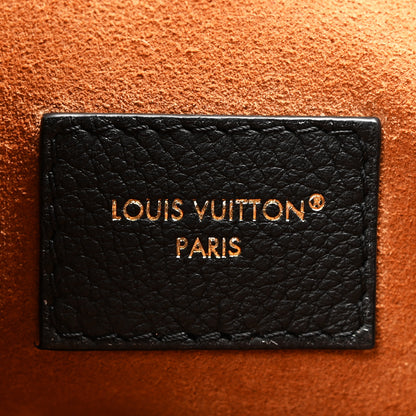 Louis Vuitton Grained Calfskin Low Key Hobo PM Black 6 of 9