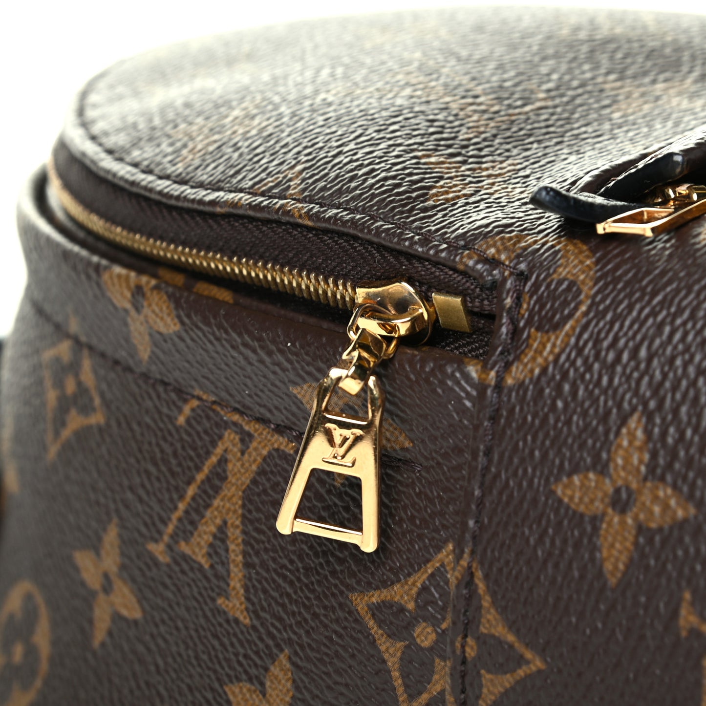 Monogram Palm Springs Backpack Mini