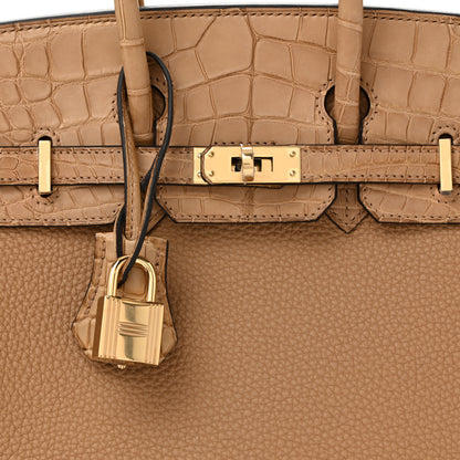 Hermes Togo Matte Alligator Birkin Touch 25 Chai 14 of 25