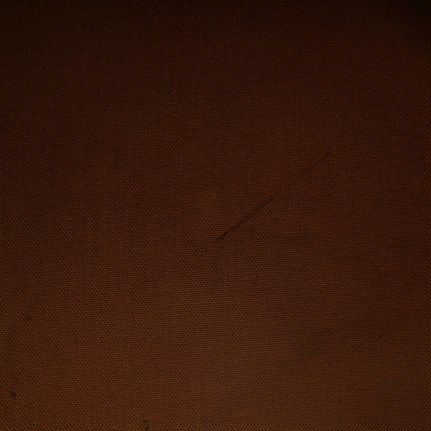 Monogram Petit Noe