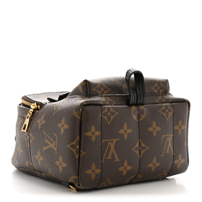 Louis Vuitton Monogram Palm Springs Backpack Mini 4 of 10