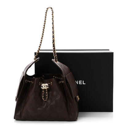 Chanel Caviar Quilted Small Chanel 25 Handbag Dark Brown 11 of 11