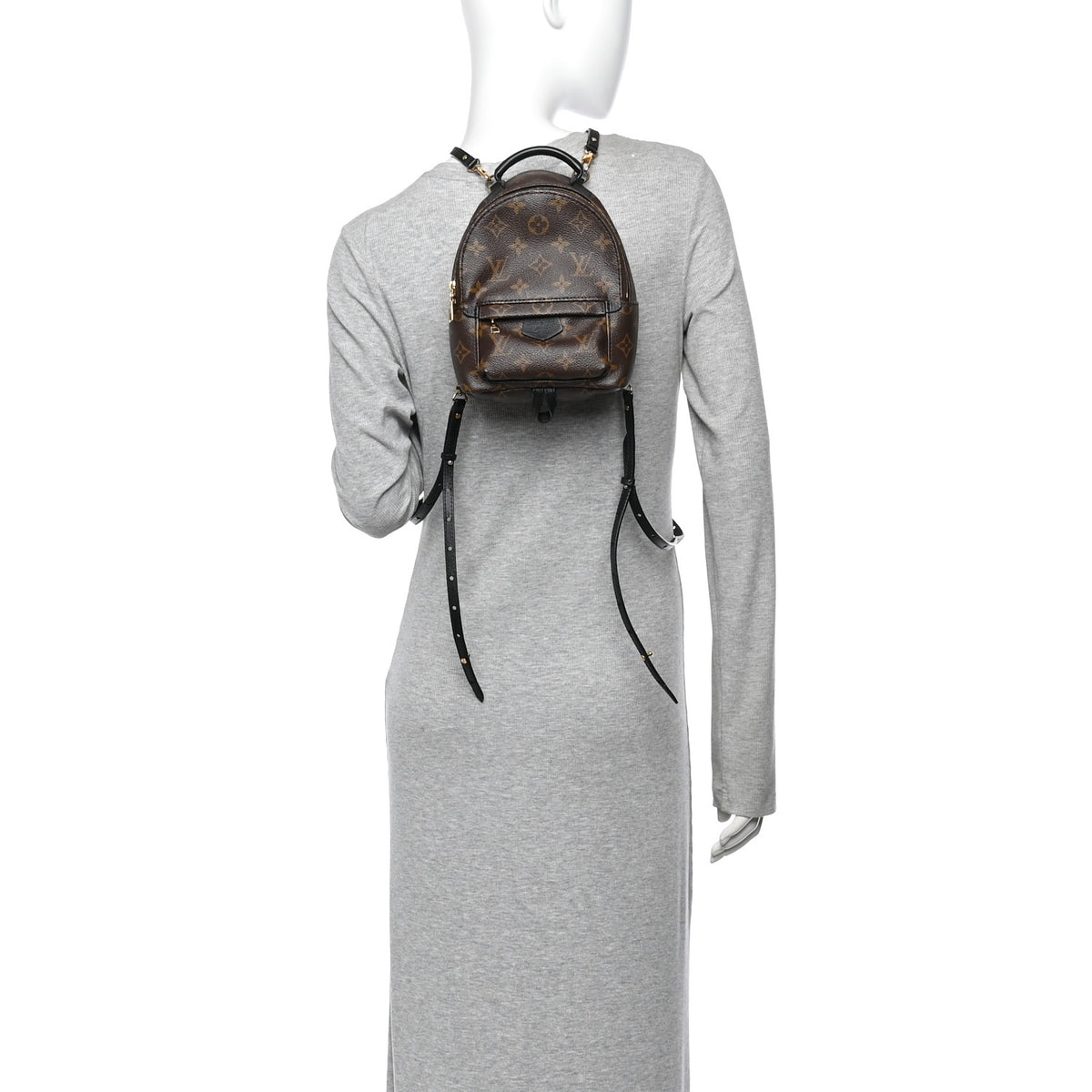 Monogram Palm Springs Backpack Mini