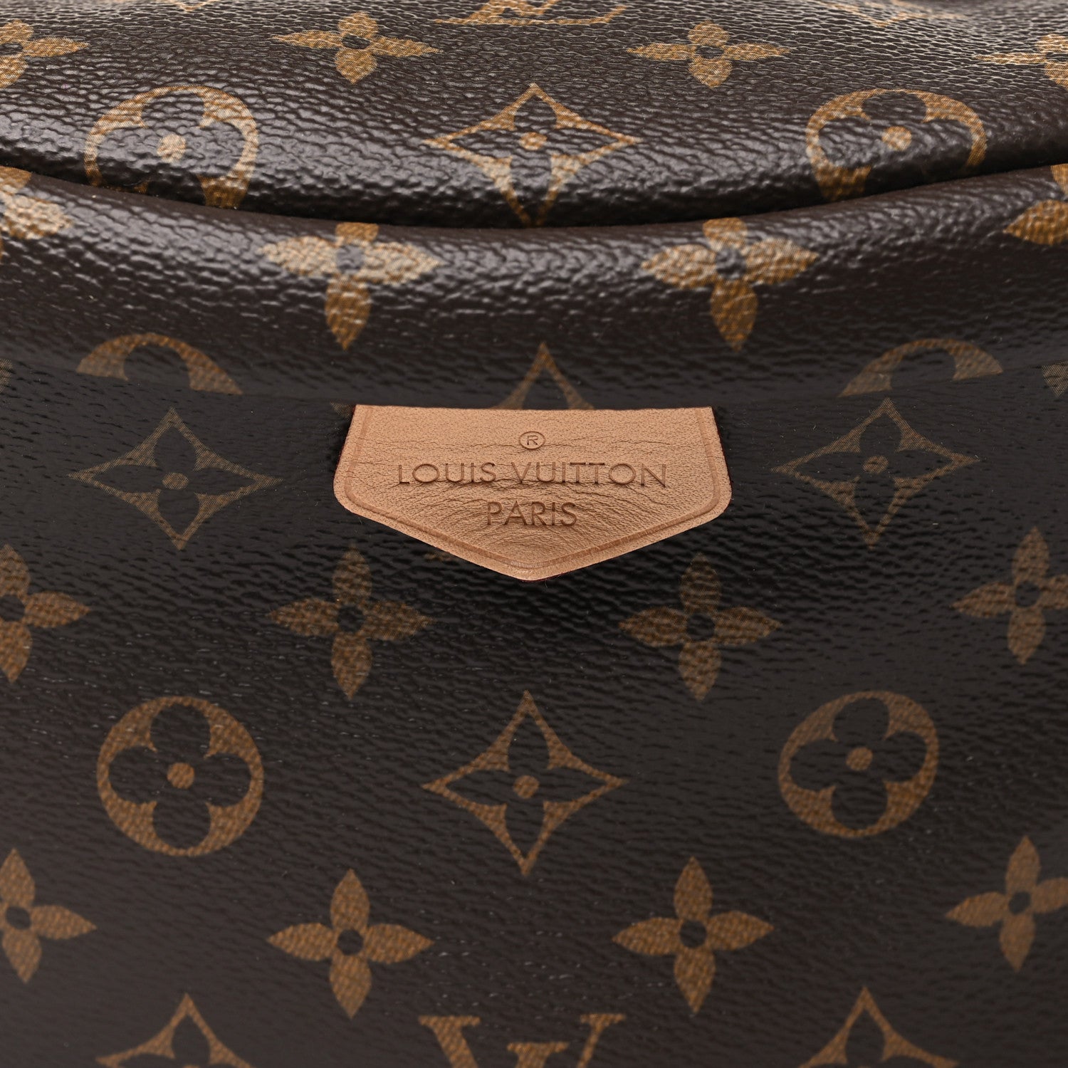 Louis Vuitton Monogram Bumbag 7 of 9